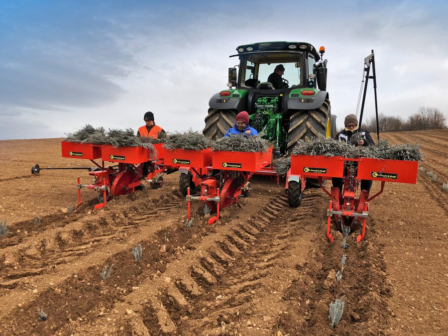 Checchi & Magli FOXDRIVE PLUS im Einsatz