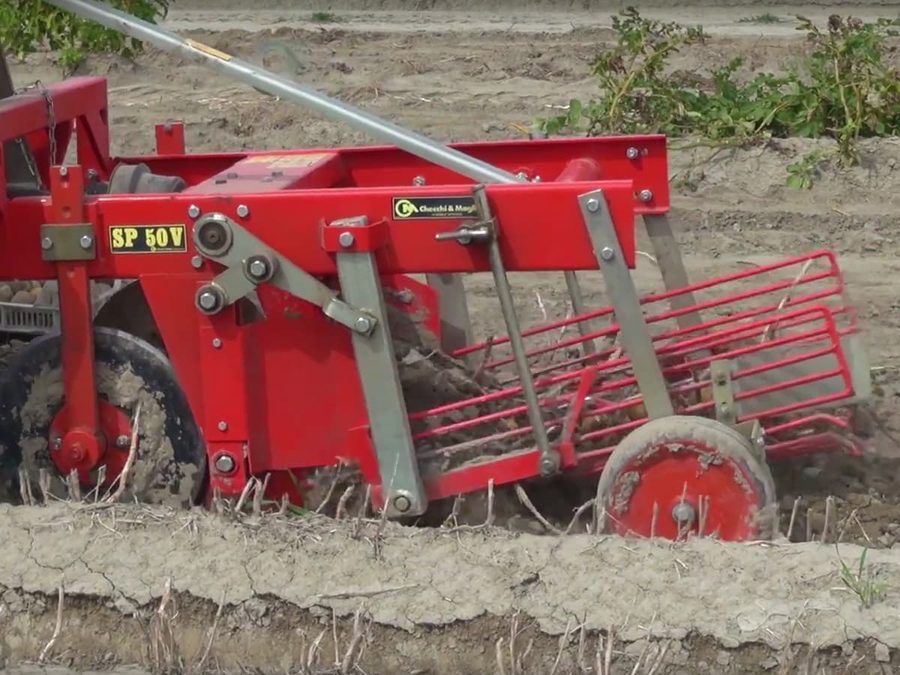Checchi & Magli SP50V / SP100 Roder im Einsatz