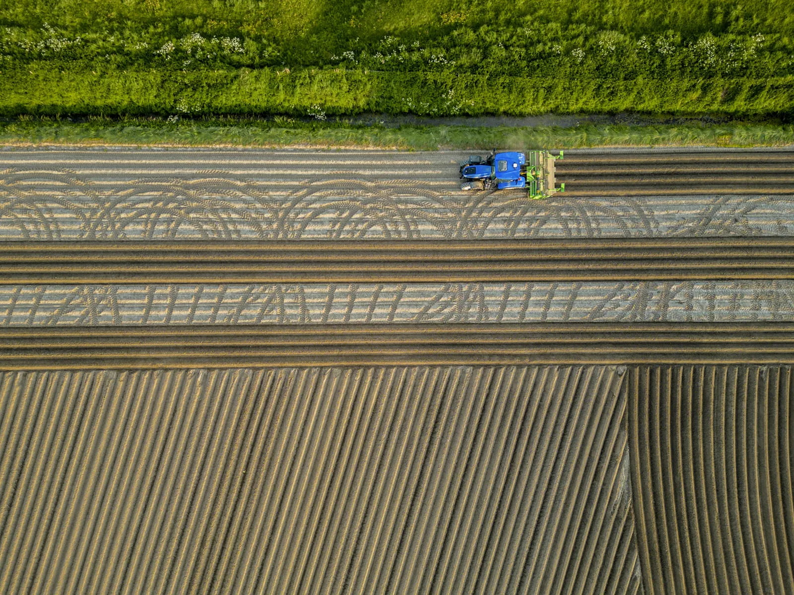 Rumex Präzisionslandwirtschaft