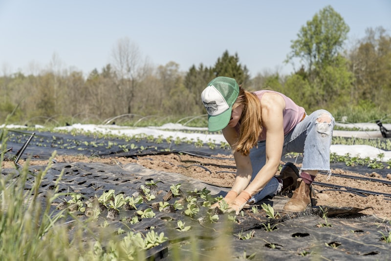 Lohnarbeiten Landwirtschaft