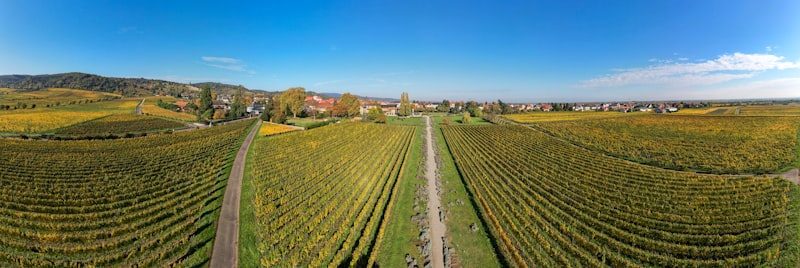 Rheinland-Pfalz Weinberge