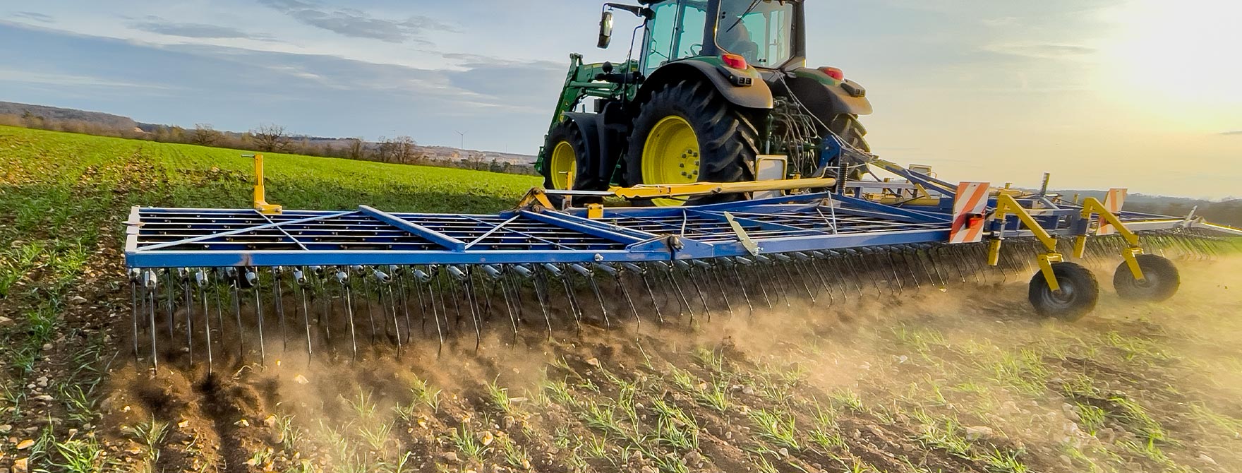 Treffler Kombi Zinkenstriegel